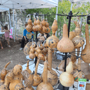Poukatō pou to Tziridzin Festival: Kaminaria Sets the Table of Tradition Anew