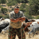Η Γιορτή του Βοσκού επιστρέφει στην Πάχνα – Δείτε πότε θα πραγματοποιηθεί