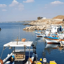 Η Γιορτή του Ψαρά επιστρέφει στην Ξυλοφάγου