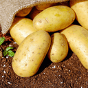 The Xylofagou International Potato Festival Returns