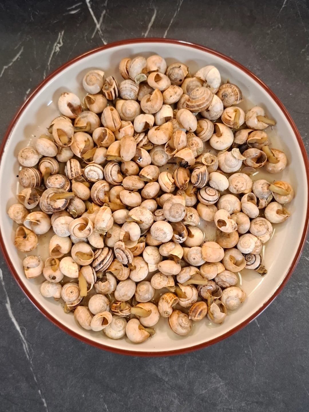 Καραόλοι με ούζο - recipe